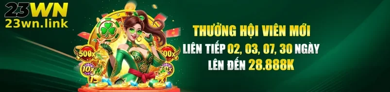 VỀ CHÚNG TÔI 23WN